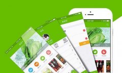 農(nóng)業(yè)電商小程序開發(fā)有什么作用？