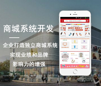 商城系統(tǒng)開(kāi)發(fā)_商城app開(kāi)發(fā)_商城app開(kāi)發(fā)公司