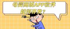 母嬰商城APP開(kāi)發(fā)成品系統(tǒng)報(bào)價(jià)是多少？